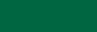 fol.E-Colour č.090  Dark Yellow Green  (1537090E)