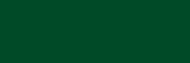 Foli Supergel n.90 Dark Yellow Green  (1537090S)
