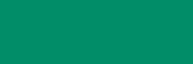 foil E-Colour n.124  Dark  Green  (1537124E)