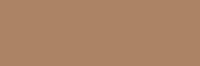 fol.E-Colour č.156  Chocolate  (1537156E)