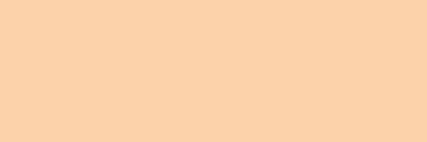 fol.E-Colour č.205  Half CT Orange  (1537205E)