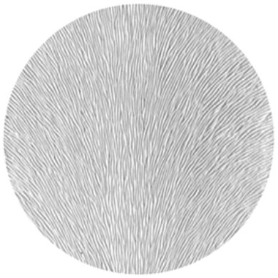 gobo 33611 - Pin Feathers  (33611)
