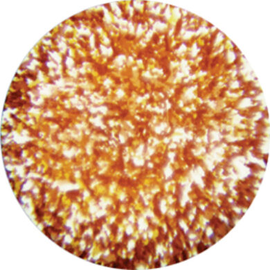 gobo 55005 - Amber and Red  (55005)