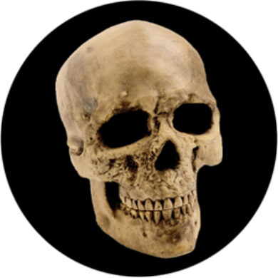 gobo 86687 - Yorick Skull  (86687)