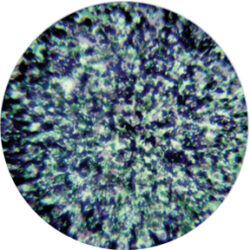 gobo 55007 - Green, Blue and Lavender