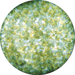 gobo 55008 - Green and Yellow