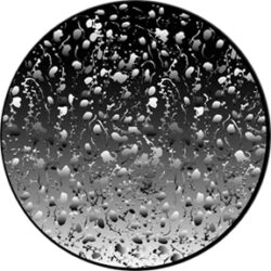 gobo 82750 - Organic Bubbles - Sklenn Gobo se vzorem.