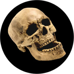 gobo 86686 - Laughting Skull - Sklenn Gobo se vzorem.