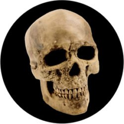 gobo 86687 - Yorick Skull - Sklenn Gobo se vzorem.